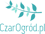 Logo strony Czarogród